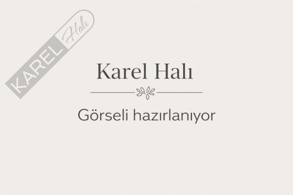 Apex Halı Ambiance 2911 Multi Etnik Vintage Halı