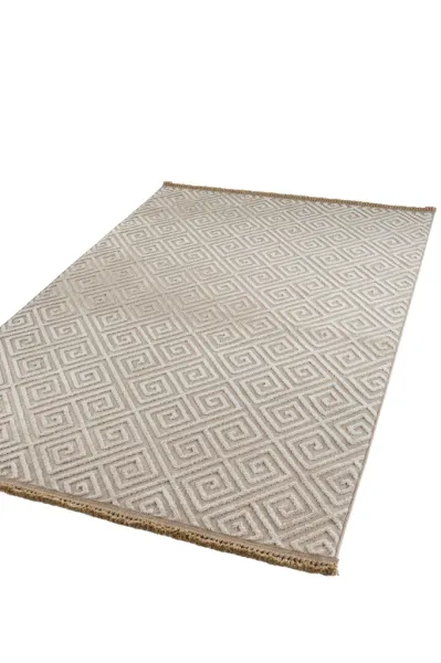Apex Halı Anemon 6813 Vizon Dekoratif Halı