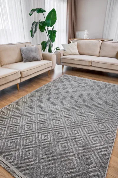 Apex Halı Anemon 6814 Gri Dekoratif Halı