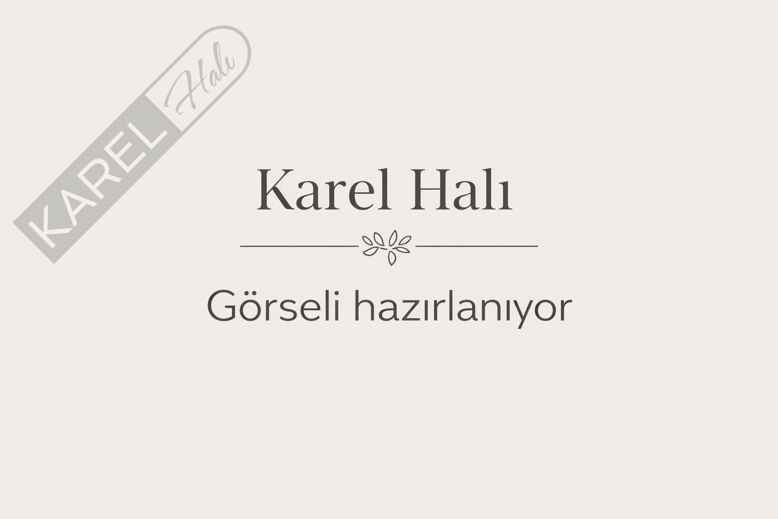 Apex Halı Ambiance 2951 Kırmızı Etnik Vintage Halı